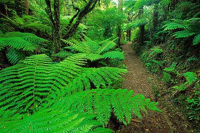 EA公布《钢铁侠》新游戏 由Motive工作室开发